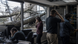 IT News for Tree Hazard Assessment 